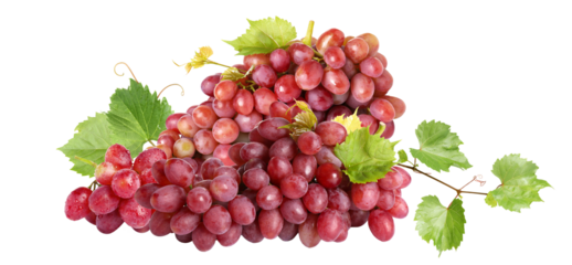 close-up photograph of a dense pile of ripe red seedless grapes clustered together with fresh green vine leaves, isolated on transparent background.