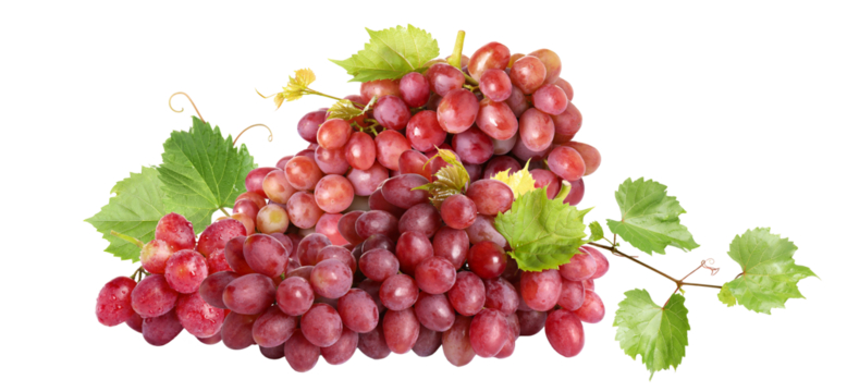 close-up photograph of a dense pile of ripe red seedless grapes clustered together with fresh green vine leaves, isolated on transparent background.