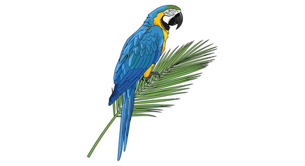 A vibrant blue-and-yellow macaw parrot perched on a green palm frond against a white background.
