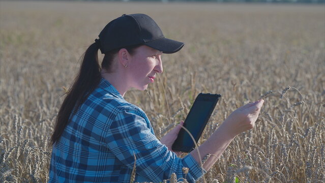 A young woman using a tablet in a serene field for agricultural analysis and research