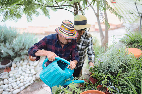 Senior couple wearing hats enjoying an outdoor hobby, caring for garden plants with a watering can, sharing a moment of togetherness and retirement activity