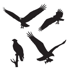 Osprey Silhouettes