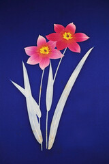 アンティークの帯生地