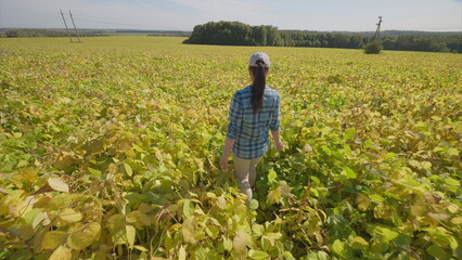 Walking Through a Beautiful, Lush Green soybeans Field Fully Embracing the Joyful Serenity of Nature