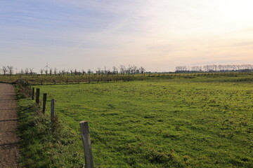 Obraz premium Blick auf die Naturlandschaft der Bislicher Insel bei Xanten am Rhein