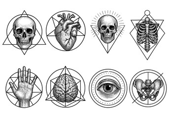 Intricate collection of human anatomy in geometric line art style