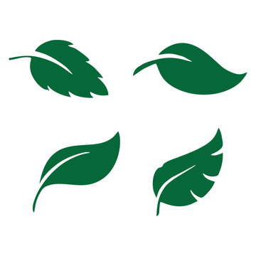 Set of Green Leaf Silhouettes and Icons