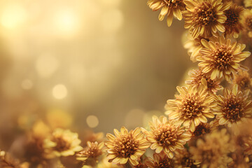 elegant golden hour flower edges forming a premium natural frame with warm tones and a smooth empty center