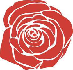 Illustration of Red Rose Plant