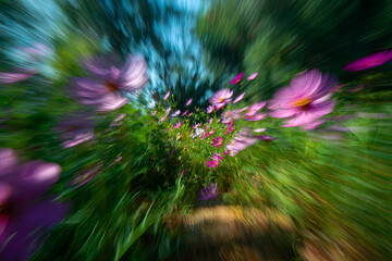 flowers moving softly in the breeze with natural motion blur and a bright open space in the middle
