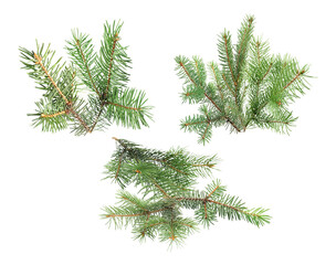 three textured segments of artificial evergreen spruce branches dusted with white frost or snow, suitable for winter and christmas decoration projects, isolated on black.