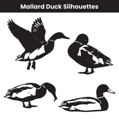 Mallard Duck Silhouettes