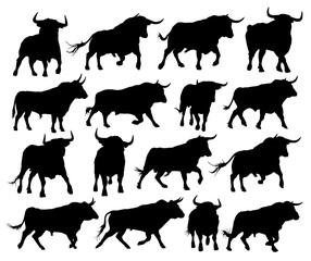 The set silhouettes of big bulls.
