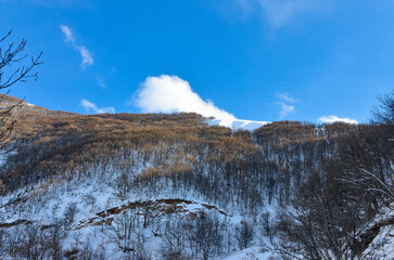 snow covered winter forest in Jermuk valley (Vayots Dzor, Armenia) 
