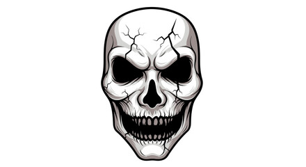 Fototapeta premium skull on black