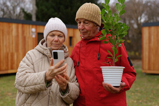 Two seniors are enjoying a moment together outside, focused on a phone screen while one holds a potted plant, surrounded by wooden sheds in a garden