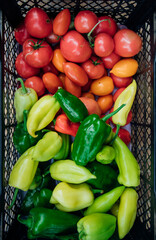 Ripe green pepper and red tomato, collected in a box. Autumn harvest.