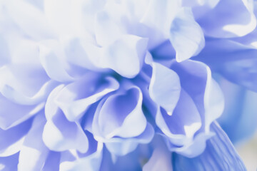 Harmonious pastel abstract: a soothing background of blended light floral colors and soft edges