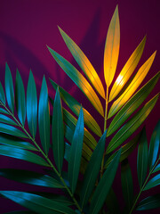 vibrant tropical palm leaf arrangement rich plum background illuminated bright glowing light source casting