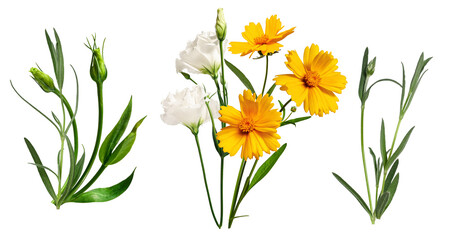 composition of cheerful yellow coreopsis blossoms and soft white eustoma flowers surrounded by lush green leaves and unopened buds on stems.