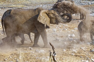 Einpudern nach dem Bad