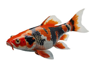 Taisho Sanke. Generative Ai