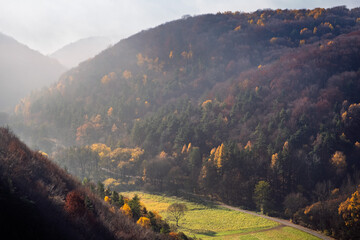 Foggy autumn hills of Dolina Będkowska in Gmina Wielka Wieś, with soft morning light revealing colorful forest slopes in the Jura Krakowsko-Częstochowska landscape.