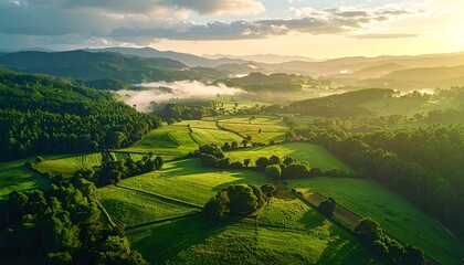 Verdant valley bathed in golden sunlight, aerial view. Mist hangs gently