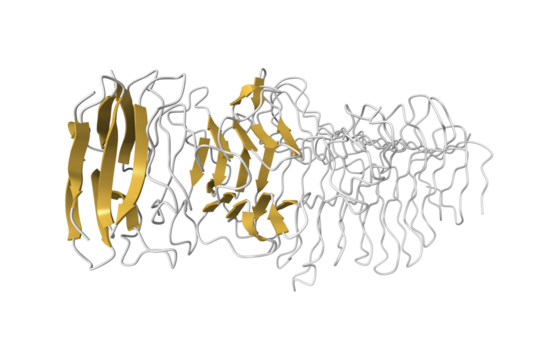 Structure of a novel Hyaluronidase (Hyal_Sk) from Streptomyces koganeiensis. 3D cartoon model, secondary structure color scheme, PDB 4ufq