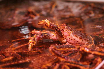 A close-up of the Hokkaido Red King Crab or Tarabagani raising its claw above the water while kept in a live tank at the Otaru Seafood Market, Hokkaido, Japan.