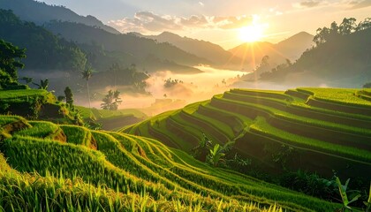 Verdant rice terraces stretch into misty hills at dawn; a golden sun shines