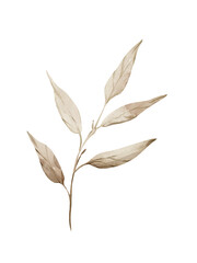 Watercolor leaves
