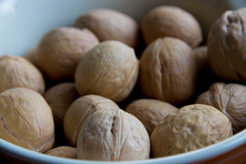 ripe walnuts in a white-cornered bowl.