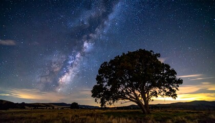 Majestic Milky Way streaks across the dark sky, illuminating a lone tree in a grassy field at night