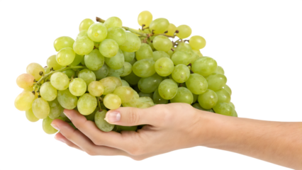 Grasping the juicy treasures a hand embraces a fresh fruit cut out on PNG. AI generated.
