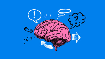 Trendy collage of sketch brain with doodle bubbles and arrows. Education, university, school, psychology, mental health, coaching, e-learning, wellness concept. Hand drawn vector illustration. © pim
