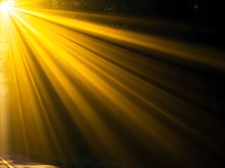 Radiant golden light rays illuminate a tranquil, dark forest