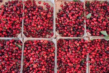Fresh red sweet cherries in wooden crates prepared for sale on a market.