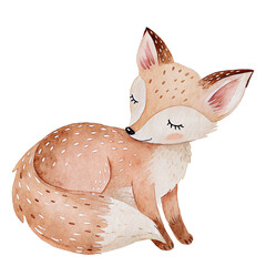 Watercolor Fox Clipart – Cute Woodland Fox PNG