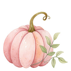 Watercolor Pink Pumpkin Clipart – Fall Floral Pumpkin PNG