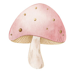 Watercolor Pink Toadstool Clipart – Cute Mushroom PNG