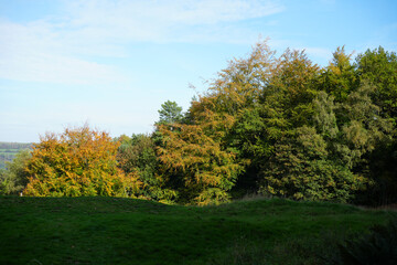 Autumn Foliage At Black Rocks, Cromford, Derbyshire, With Vibrant Green And Golden Trees Under A Clear Blue Sky, Capturing The Tranquil Beauty Of The Peak District.