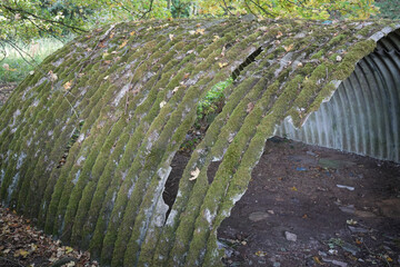 Abandoned Corrugated Hut Heavily Covered In Green Moss And Autumn Leaves, Slowly Decaying In A Quiet Woodland Setting At Black Rocks, Cromford, Derbyshire.