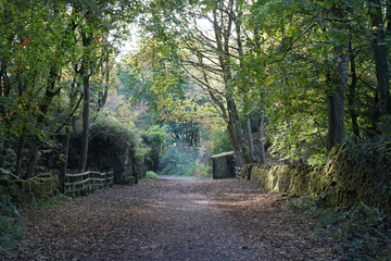 Sunlit Autumn Woodland Path Lined With Mossy Stone Walls And Trees At Black Rocks, Cromford, Derbyshire