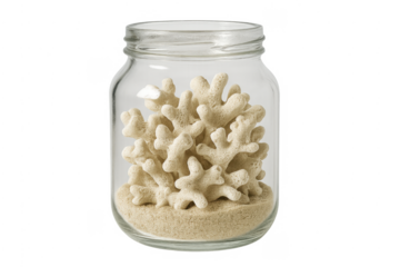 Preserving white coral and sand in glass jar