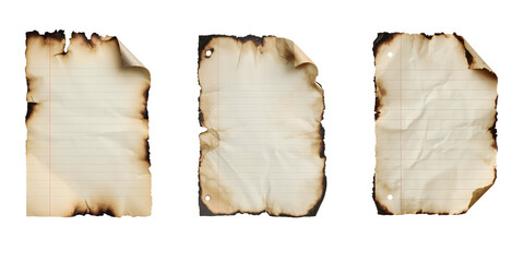 Torn burn notebook page set