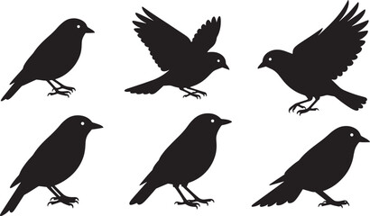 Fototapeta premium Bird silhouettes set Vector