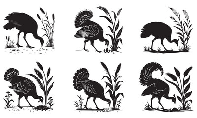 Turkey and fowl silhouettes foraging in fields, rustic farm birds eating crops vector graphic
