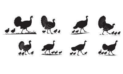 Turkey and chick silhouettes walking on grass, domestic fowl family illustration set
