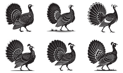 Stylized black and white vector illustrations of turkeys displaying fanned tail feathers.
